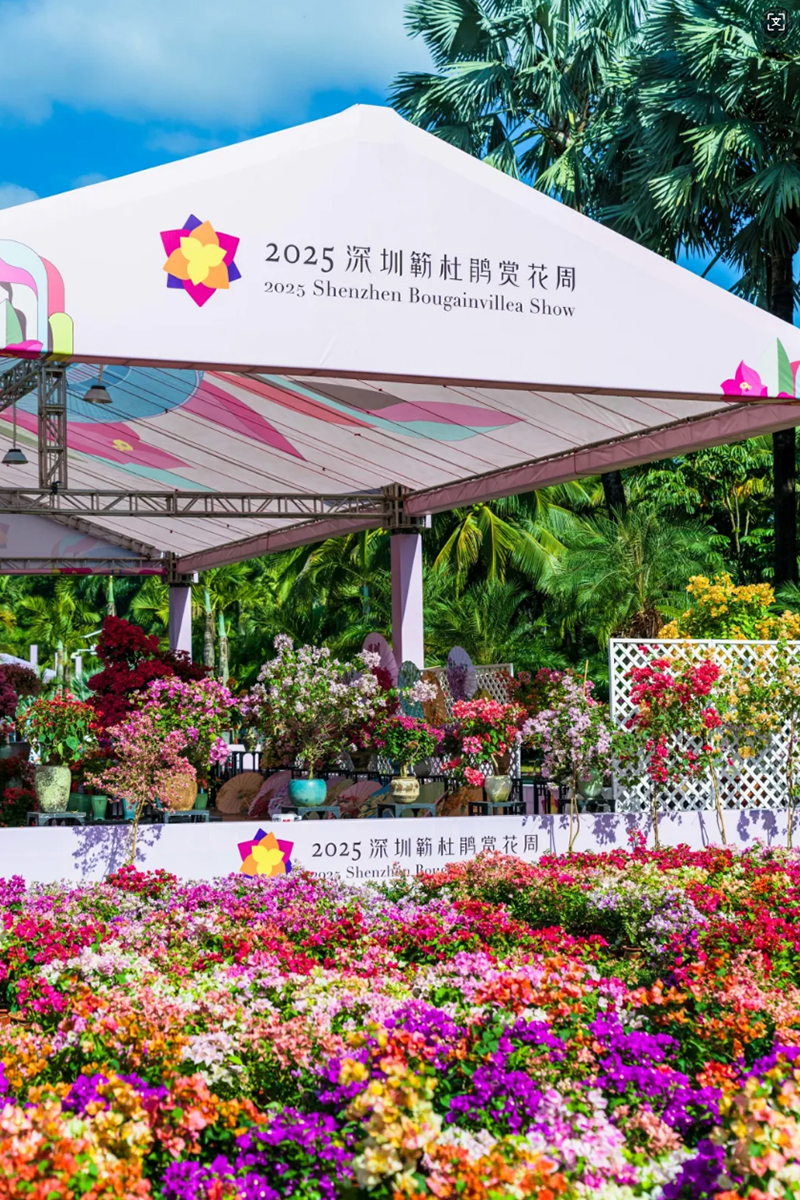 蓮花山花展如何“撐起”那一片藝術天空？