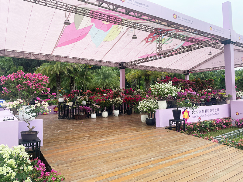 蓮花山花展如何“撐起”那一片藝術天空？